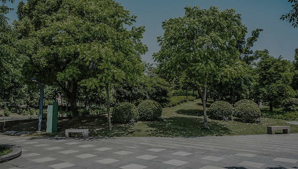 Urbanisons-nous en prenant en compte les enjeux du sol ?